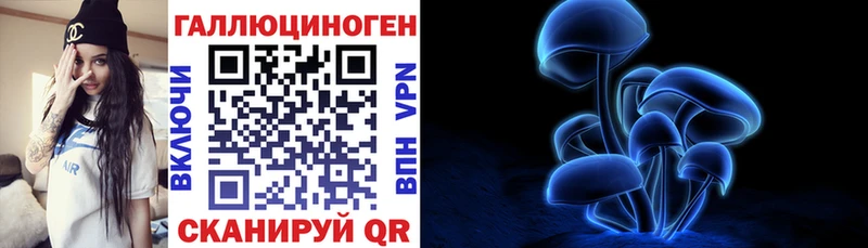 закладка Торопец Псилоцибиновые грибы прущие грибы